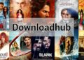 DownloadHub